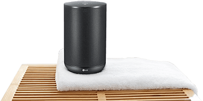voice assistant