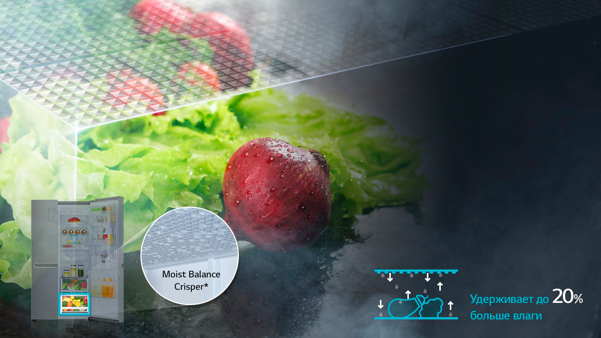 Moist Balance Crisper