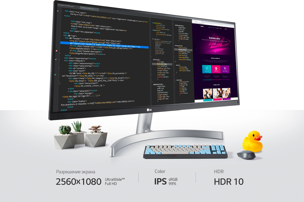 LG UltraWide Monitor