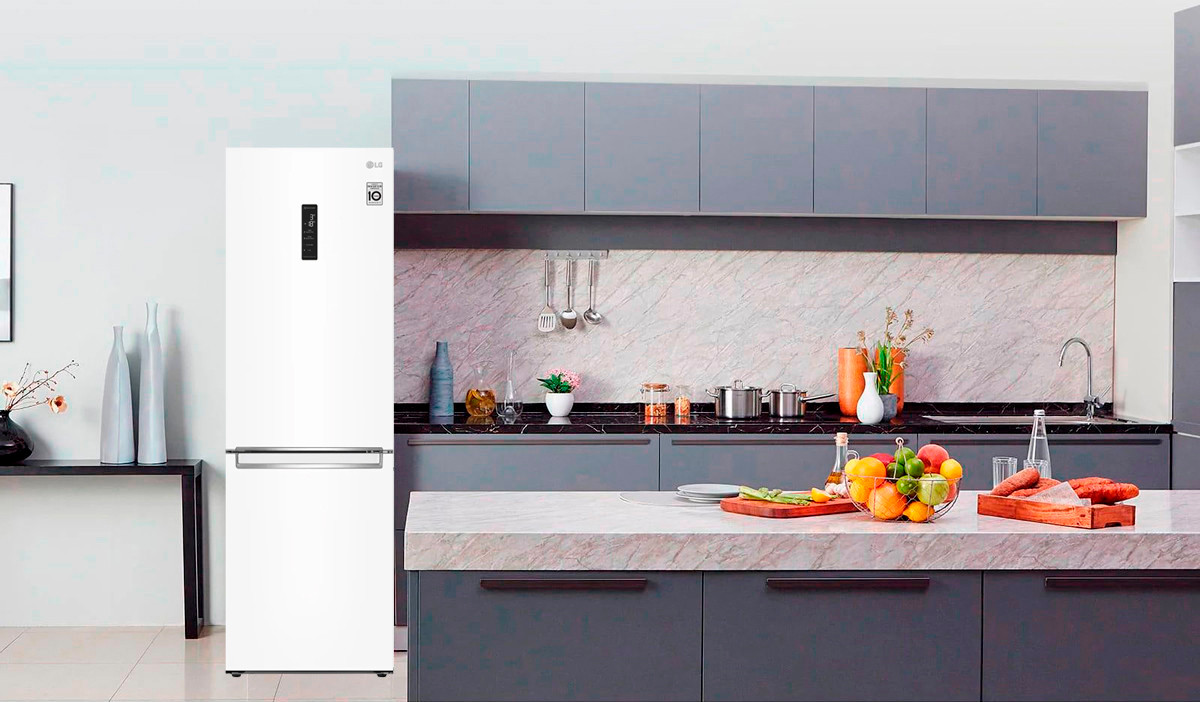 LG GA-B459SQUM Design
