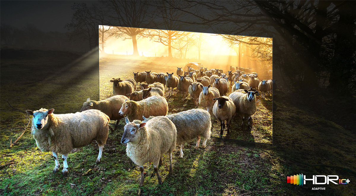 Culori vibrante și luminozitate extremă