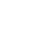 icon economy modes