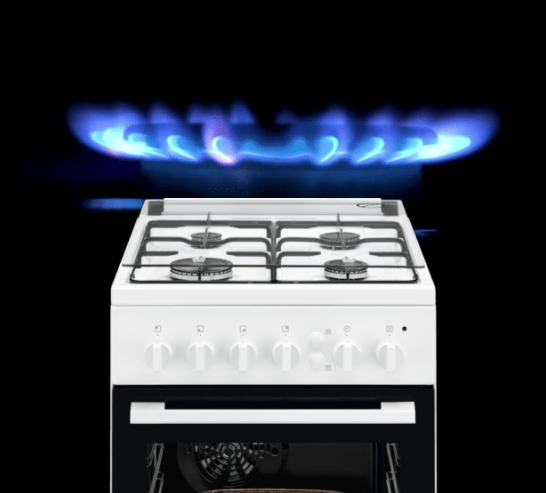 cooker gas stove
