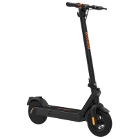 Transport